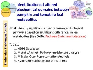 Biology

Chemistry

Biochemical Enrichment Analysis

Informatics

Identification of altered
biochemical domains between
pumpkin and tomatillo leaf
metabolites

Goal: Identify significantly over represented biological
pathways based on significant differences in leaf
metabolites (Use DATA: Pathway Enrichment data.csv)
Topics:
1. KEGG Database
2. MetaboAnalyst: Pathway enrichment analysis
3. MBrole: Over Representation Analysis
4. Hypergeometric test for enrichment

 