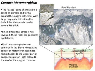 Contact Metamorphism
•The "baked" zone of alteration is
called an aureole and forms
around the magma intrusion. With
large magmatic intrusions like
batholiths, the aureole can be
several km thick.
•Since differential stress is not
involved, these rocks are generally
not foliated.
•Roof pendants (photo) are
common in the Sierra Nevada and
consist of metamorphosed host
rock adjacent to the upper part of
an igneous pluton (light colored) -
the roof of the magma chamber.
 