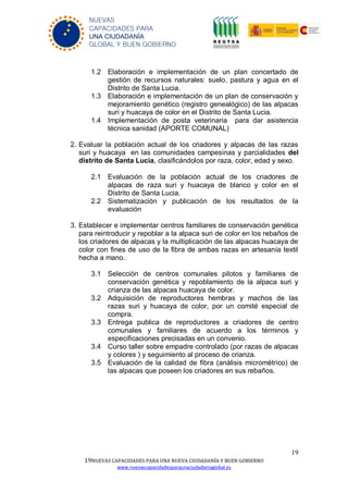 19
19NUEVAS CAPACIDADES PARA UNA NUEVA CIUDADANÍA Y BUEN GOBIERNO
www.nuevascapacidadesparaunaciudadaniaglobal.es
NUEVAS
CAPACIDADES PARA
UNA CIUDADANÍA
GLOBAL Y BUEN GOBIERNO
1.2 Elaboración e implementación de un plan concertado de
gestión de recursos naturales: suelo, pastura y agua en el
Distrito de Santa Lucia.
1.3 Elaboración e implementación de un plan de conservación y
mejoramiento genético (registro genealógico) de las alpacas
suri y huacaya de color en el Distrito de Santa Lucia.
1.4 Implementación de posta veterinaria para dar asistencia
técnica sanidad (APORTE COMUNAL)
2. Evaluar la población actual de los criadores y alpacas de las razas
suri y huacaya en las comunidades campesinas y parcialidades del
distrito de Santa Lucia, clasificándolos por raza, color, edad y sexo.
2.1 Evaluación de la población actual de los criadores de
alpacas de raza suri y huacaya de blanco y color en el
Distrito de Santa Lucia.
2.2 Sistematización y publicación de los resultados de la
evaluación
3. Establecer e implementar centros familiares de conservación genética
para reintroducir y repoblar a la alpaca suri de color en los rebaños de
los criadores de alpacas y la multiplicación de las alpacas huacaya de
color con fines de uso de la fibra de ambas razas en artesanía textil
hecha a mano.
3.1 Selección de centros comunales pilotos y familiares de
conservación genética y repoblamiento de la alpaca suri y
crianza de las alpacas huacaya de color.
3.2 Adquisición de reproductores hembras y machos de las
razas suri y huacaya de color, por un comité especial de
compra.
3.3 Entrega publica de reproductores a criadores de centro
comunales y familiares de acuerdo a los términos y
especificaciones precisadas en un convenio.
3.4 Curso taller sobre empadre controlado (por razas de alpacas
y colores ) y seguimiento al proceso de crianza.
3.5 Evaluación de la calidad de fibra (análisis micrométrico) de
las alpacas que poseen los criadores en sus rebaños.
 