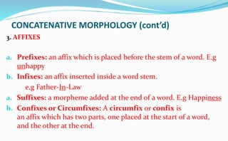 Morphological typology/ Morphological Operations | PPTX