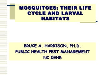 MOSQUITOES: THEIR LIFE CYCLE AND LARVAL HABITATS ,[object Object],[object Object],[object Object]