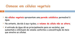 Osmose em células vegetais
13
 As células vegetais apresentam uma parede celulósica permeável à
água.
 No entanto, devido à sua rigidez, o volume da célula não se altera.
 A entrada de água dá-se principalmente para os vacúolos, que
aumentam e diminuem de volume conforme a concentração do meio
que envolve as células.
 