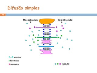 Difusão simples
16
Soluto
 