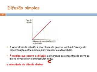 Difusão simples
17
 A velocidade de difusão é directamente proporcional à diferença de
concentração entre os meios intracelular e extracelular.
 À medida que ocorre a difusão, a diferença de concentração entre os
meios intracelular e extracelular reduz
a velocidade de difusão diminui
 