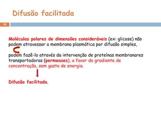 Difusão facilitada
19
Moléculas polares de dimensões consideráveis (ex: glicose) não
podem atravessar a membrana plasmática por difusão simples,
podem fazê-lo através da intervenção de proteínas membranares
transportadoras (permeases), a favor do gradiente de
concentração, sem gasto de energia.
Difusão facilitada.
 