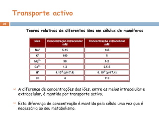 Transporte activo
26
 A diferença de concentrações dos iões, entre os meios intracelular e
extracelular, é mantida por transporte activo.
 Esta diferença de concentração é mantida pela célula uma vez que é
necessária ao seu metabolismo.
Teores relativos de diferentes iões em células de mamíferos
 