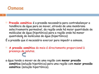 Osmose
5
 Pressão osmótica é a pressão necessária para contrabalançar a
tendência da água para se mover, através de uma membrana
selectivamente permeável, da região onde há maior quantidade de
moléculas de água (hipotónica) para a região onde há menor
quantidade de moléculas de água (hipertónica)
É a pressão que é necessário exercer para impedir a osmose.
 A pressão osmótica do meio é directamente proporcional à
presença de solutos.
a água tende a mover-se de uma região com menor pressão
osmótica (solução hipotónica) para uma região com maior pressão
osmótica (solução hipertónica).
 