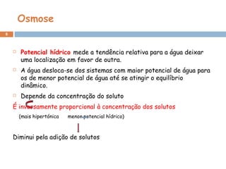 Osmose
6
 Potencial hídrico mede a tendência relativa para a água deixar
uma localização em favor de outra.
 A água desloca-se dos sistemas com maior potencial de água para
os de menor potencial de água até se atingir o equilíbrio
dinâmico.
 Depende da concentração do soluto
É inversamente proporcional à concentração dos solutos
(mais hipertónica menor potencial hídrico)
Diminui pela adição de solutos
 