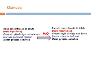 Osmose
7
Baixa concentração de soluto
(meio hipotónico)
Concentração de água mais elevada
(elevado potencial hidríco)
Menor pressão osmótica
Elevada concentração de soluto
(meio hipertónico)
Concentração de água mais baixa
(baixo potencial hidríco)
Maior pressão osmótica
H2O
 