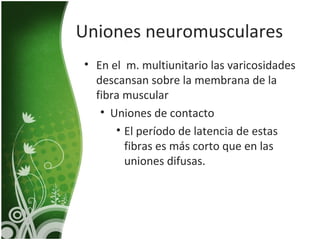 Uniones neuromusculares
• En el m. multiunitario las varicosidades
  descansan sobre la membrana de la
  fibra muscular
   • Uniones de contacto
      • El período de latencia de estas
        fibras es más corto que en las
        uniones difusas.
 
