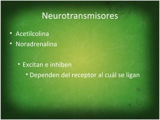 Neurotransmisores
• Acetilcolina
• Noradrenalina

  • Excitan e inhiben
     • Dependen del receptor al cuál se ligan
 