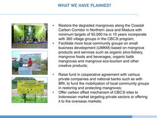 Pivate Financing Initiave Through Community Based Coastal Carbon Corridor Initiative