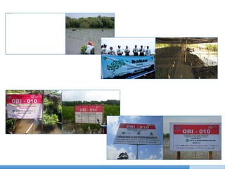 Pivate Financing Initiave Through Community Based Coastal Carbon Corridor Initiative