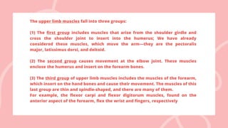 The upper limb muscles fall into three groups:
(1) The first group includes muscles that arise from the shoulder girdle and
cross the shoulder joint to insert into the humerus; We have already
considered these muscles, which move the arm—they are the pectoralis
major, latissimus dorsi, and deltoid.
(2) The second group causes movement at the elbow joint. These muscles
enclose the humerus and insert on the forearm bones.
(3) The third group of upper limb muscles includes the muscles of the forearm,
which insert on the hand bones and cause their movement. The muscles of this
last group are thin and spindle-shaped, and there are many of them.
For example, the flexor carpi and flexor digitorum muscles, found on the
anterior aspect of the forearm, flex the wrist and fingers, respectively
 