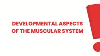 DEVELOPMENTAL ASPECTS
OF THE MUSCULAR SYSTEM
 