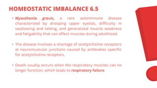 • Myasthenia gravis, a rare autoimmune disease
characterized by drooping upper eyelids, difficulty in
swallowing and talking, and generalized muscle weakness
and fatigability that can affect muscles during adulthood.
• The disease involves a shortage of acetylcholine receptors
at neuromuscular junctions caused by antibodies specific
for acetylcholine receptors.
• Death usually occurs when the respiratory muscles can no
longer function, which leads to respiratory failure.
HOMEOSTATIC IMBALANCE 6.5
 