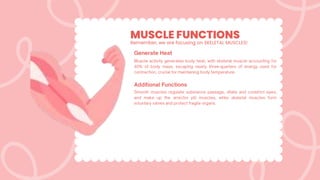 MUSCLE FUNCTIONS
Remember, we are focusing on SKELETAL MUSCLES!
 