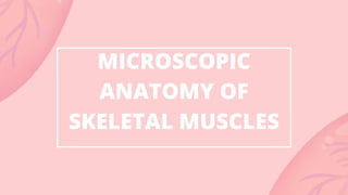 MICROSCOPIC
ANATOMY OF
SKELETAL MUSCLES
 