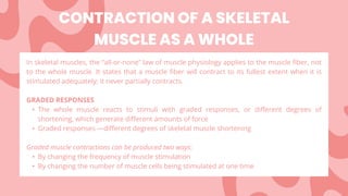 CONTRACTION OF A SKELETAL
MUSCLE AS A WHOLE
In skeletal muscles, the “all-or-none” law of muscle physiology applies to the muscle fiber, not
to the whole muscle. It states that a muscle fiber will contract to its fullest extent when it is
stimulated adequately; it never partially contracts.
GRADED RESPONSES
• The whole muscle reacts to stimuli with graded responses, or different degrees of
shortening, which generate different amounts of force
• Graded responses —different degrees of skeletal muscle shortening
Graded muscle contractions can be produced two ways:
• By changing the frequency of muscle stimulation
• By changing the number of muscle cells being stimulated at one time
 