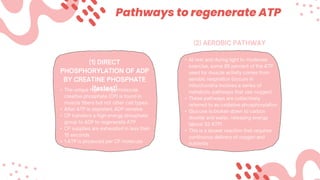 Pathways to regenerate ATP
•
•
•
•
•
•
•
•
•
 
