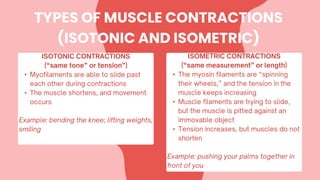 •
•
TYPES OF MUSCLE CONTRACTIONS
(ISOTONIC AND ISOMETRIC)
•
•
•
 