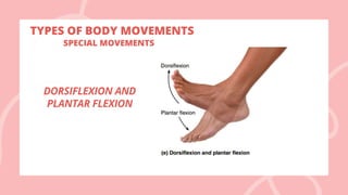 TYPES OF BODY MOVEMENTS
DORSIFLEXION AND
PLANTAR FLEXION
SPECIAL MOVEMENTS
 