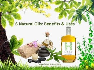 6 Natural Oils: Benefits & Uses
www.haranaturals.com
 
