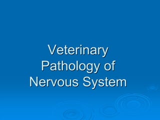Veterinary
Pathology of
Nervous System
 