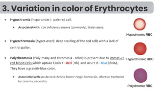 Hypo Rbc 6 - Normal and Abnormal Red Blood Cells Morphology .pdf