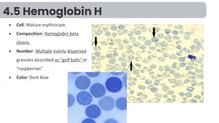 6 - Normal and Abnormal Red Blood Cells Morphology .pdf