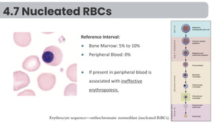 6 - Normal and Abnormal Red Blood Cells Morphology .pdf