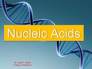Nucleic Acids
Dr. Ayad F. Palani
College of Medicine
 