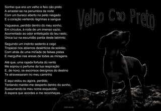 Sonhei que era um velho e feio cão preto A arrastar-se na penumbra da noite Com um buraco aberto no peito rasgado E o coração vertendo lágrimas e sangue Vagueava, perdido dentro do meu sonho, Em círculos, à roda de um imenso vazio, Acorrentado ao odor enfeitiçado do teu rasto, Única luz na escuridão parda deste labirinto Seguindo um instinto sedento e cego Tropecei nos abismos desérticos da solidão, Corri atrás de uma mirÍade de falsas pistas E mergulhei nas areias de todas as miragens Até que, uma rajada fortuita do vento Me soprou o perfume da tua respiração E, de novo, os esconsos desígnios do destino Te atravessaram no meu caminho E aqui estou eu agora, perdido, Tentando manter-me desperto dentro do sonho, Sussurrando-te meu nome esquecido, À espera que acordes e me reconheças... 2009-09-06 Velho Cão Preto 