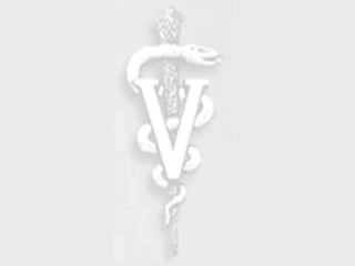 6-O-código-de-etica-do-Medico-Veterinario-.ppt