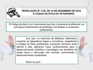 O CÓDIGO DE ÉTICA DO VETERINÁRIO
O Código de ética é um instrumento que traz o juramento profissional, os
princípios fundamentais da profissão e os direitos e os deveres
profissionais.
Juro que, no exercício da Medicina Veterinária,
cumprirei os dispositivos legais e normativos, respeitando
o Código de Ética profissional, buscando harmonia entre
ciência e arte, aplicando meus conhecimentos para o
desenvolvimento científico e tecnológico em benefício da
saúde única e bem-estar dos animais, promovendo o
desenvolvimento sustentável.
Assim eu juro!
RESOLUÇÃO Nº 1138, DE 16 DE DEZEMBRO DE 2016
 