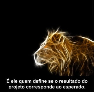 É ele quem define se o resultado do
 projeto corresponde ao esperado.
 