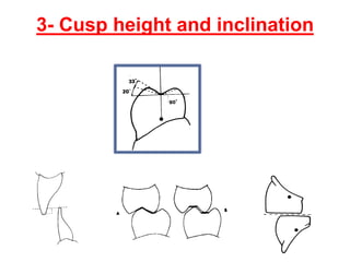 6 occlusion | PDF