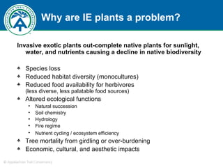 Why are IE plants a problem? Invasive exotic plants out-complete native plants   for sunlight, water, and nutrients causing a decline in native biodiversity Species loss  Reduced habitat diversity (monocultures) Reduced food availability for herbivores    (less diverse, less palatable food sources) Altered ecological functions  Natural succession Soil chemistry Hydrology Fire regime Nutrient cycling / ecosystem efficiency Tree mortality from girdling or over-burdening Economic, cultural, and aesthetic impacts 