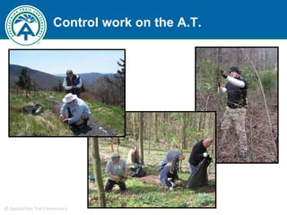 Control work on the A.T. 