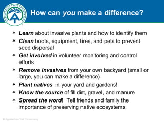 How can  you  make a difference? Learn  about invasive plants and how to identify them Clean  boots, equipment, tires, and pets to prevent seed dispersal Get involved  in volunteer monitoring and control efforts Remove invasives  from your own backyard (small or large, you can make a difference) Plant natives   in your yard and gardens! Know   the source  of fill dirt, gravel, and manure Spread the word !   Tell friends and family the importance of preserving native ecosystems 
