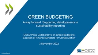 GREEN BUDGETING
OECD Paris Collaborative on Green Budgeting
Coalition of Finance Ministers for Climate Action
3 November 2022
Andrew Blazey
A way forward: Supporting developments in
sustainability reporting
 