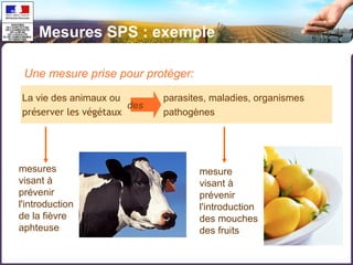 Mesures SPS : exemple 
Une mesure prise pour protéger: 
La vie des animaux ou parasites, maladies, organismes 
des 
préserver les végétaux pathogènes 
mesures 
visant à 
prévenir 
l'introduction 
de la fièvre 
aphteuse 
mesure 
visant à 
prévenir 
l'introduction 
des mouches 
des fruits 
 
