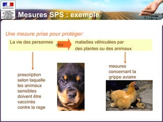 Une mesure prise pour protéger: 
La vie des personnes maladies véhiculées par 
des plantes ou des animaux 
des 
prescription 
selon laquelle 
les animaux 
sensibles 
doivent être 
vaccinés 
contre la rage 
mesures 
concernant la 
grippe aviaire 
Mesures SPS : exemple 
 