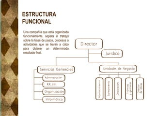 ESTRUCTURA
FUNCIONAL
Una compañía que está organizada
funcionalmente, separa el trabajo
sobre la base de pasos, procesos o
actividades que se llevan a cabo
para obtener un determinado
resultado final.
 