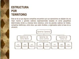 ESTRUCTURA
POR
TERRITORIO
Esta se da ya que algunas compañías encuentran que sus operaciones se adaptan de una
mejor manera a grandes cadenas organizacionales basadas en zonas geográficas
determinadas donde su empresa tiene cobertura, como las grandes cadenas de hoteles,
compañías telefónicas, entre otras, que están divididos y organizados sobre la base de su
ubicación.
 