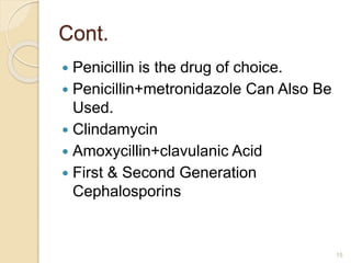 Cont.
 Penicillin is the drug of choice.
 Penicillin+metronidazole Can Also Be
Used.
 Clindamycin
 Amoxycillin+clavulanic Acid
 First & Second Generation
Cephalosporins
15
 