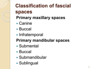 Classification of fascial
spaces
Primary maxillary spaces
 Canine
 Buccal
 Infratemporal
Primary mandibular spaces
 Submental
 Buccal
 Submandibular
 Sublingual
36
 