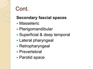 Cont.
Secondary fascial spaces
 Masseteric
 Pterigomandibular
 Superficial & deep temporal
 Lateral pharyngeal
 Retropharyngeal
 Prevertebral
 Parotid space
37
 