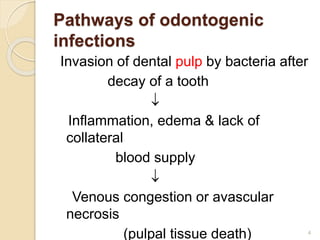 Pathways of odontogenic
infections
Invasion of dental pulp by bacteria after
decay of a tooth

Inflammation, edema & lack of
collateral
blood supply

Venous congestion or avascular
necrosis
(pulpal tissue death) 4
 
