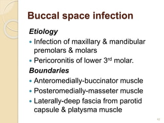 Buccal space infection
Etiology
 Infection of maxillary & mandibular
premolars & molars
 Pericoronitis of lower 3rd molar.
Boundaries
 Anteromedially-buccinator muscle
 Posteromedially-masseter muscle
 Laterally-deep fascia from parotid
capsule & platysma muscle
42
 
